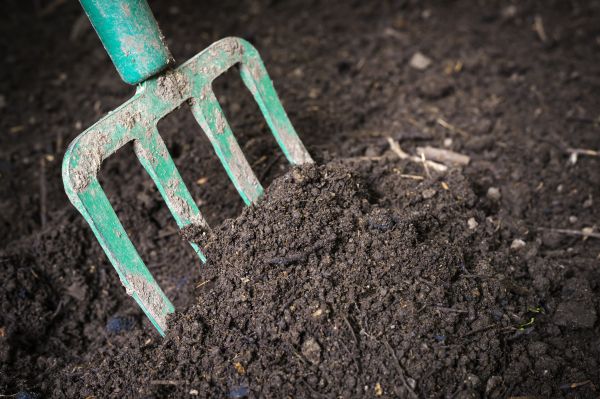 Cost of Topsoil Spreading in Oshkosh