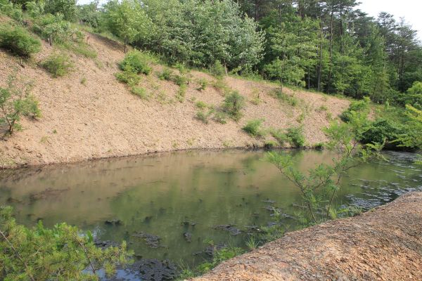 Cost of Pond Erosion Repair in Oshkosh