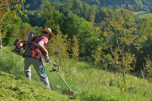 Cost of Slope Trimming in Oshkosh